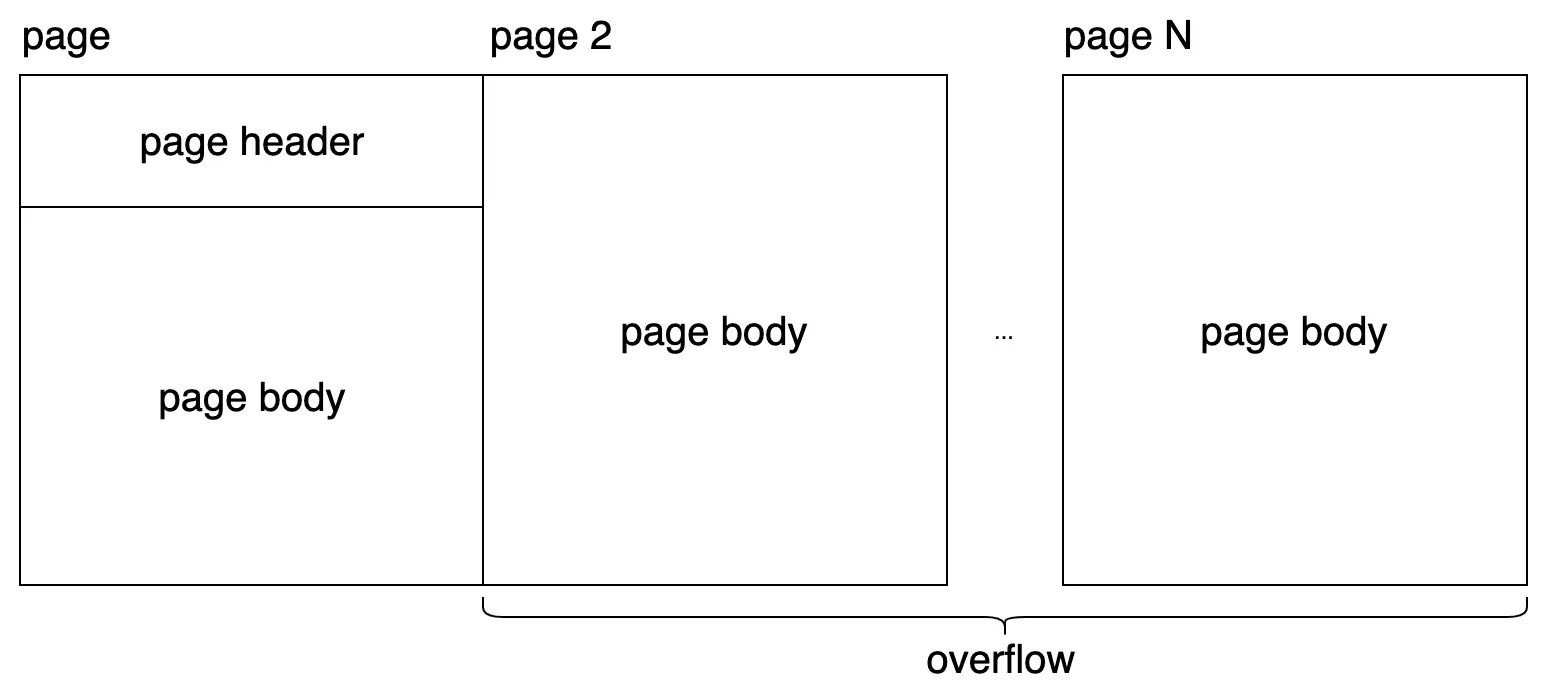 Data overflow across multiple pages